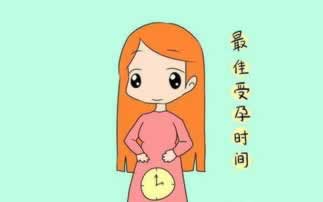 系统维护无法还款，别慌！这些方法或许能帮你度过难关
